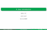 A Java introduction - capsis.cirad.frcapsis.cirad.fr/capsis/_media/javaforcapsis151209.pdf · SDK, FC (UMR AMAP) A Java introduction 15/12/2009 6 / 50. Java application Java programs