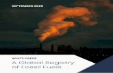 WHITE PAPER A Global Registry of Fossil Fuels...Transparency on fossil fuels will not itself lead to the phase out of fossil fuel production, but it is an important element of a portfolio
