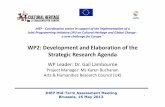 WP2: Development and Elaboration of the Strategic Research ...jpi-ch.eu/wp-content/uploads/02JHEP-Mid-Term-_WP2_SRA2.pdfWP2: Development and Elaboration of the Strategic Research Agenda