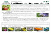 1 Factsheet Series #15 Pollinator Stewardship...2013/10/15  · 1 Pollination occurs when pollen from the male parts of a plant is transferred to the female parts. It is essential