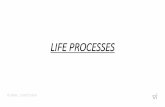 LIFE PROCESSES - vishalinstitute.comvishalinstitute.com/media/uploads/pdf/ppt class 10 biology.pdf · Life Processes : All the basic functions which together keep the living organisms