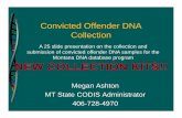 Convicted Offender DNA Collection · Offender DNA Collection Kit • The MT FSD has recently changed the offender DNA collection kit to a custom kit designed by us. • The samples