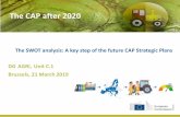 The CAP after 2020 - Rural developmentenrd.ec.europa.eu/sites/enrd/files/gpw10_9_swot_ramon_i...2. SWOT analysis 3. Consultation of the partners (outcome + brief description of how