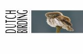DUTCH BIRDINGleDenArnoud van den Berg, André van Loon, Kees Roselaar en George Sangster (secretaris). De CSNA is een commissie van de Dutch Birding Association en de Nederlandse Ornithologische