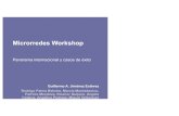 Microrredes Workshop · 2020. 1. 30. · Celsia, Development Yumbo, Colombia PSDA, implementation Antofagasta, Chile TEC,,Operative Costa Rica Esmeraldas ,Operative Esmeraldas, Ecuador