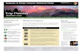 Trip Planner Summer 2020 - Sequoia & Kings Canyon National Parks · 2020. 7. 28. · Trip Planner Summer 2020 Information in this newspaper can change at any time as we work to safely