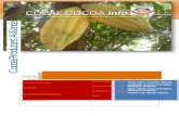COPAL COCOA Info. 501.doc · Web viewSwiss-based chocolate maker Barry Callebaut is also planning to boost grinding capacity this year. As part of a sweeping reform of the cocoa sector,