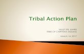 SAULT STE. MARIE TRIBE OF CHIPPEWA INDIANS March 14, 2017 · 2019. 11. 18. · Crisis Intervention Task Force –summer 2012 Tribal Law and Order Act of 2010 Authorized TAPs –long