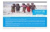 Budget Brief - UNICEF · 2018. 9. 20. · National Social Protection Budget Brief: 2011-2016 This budget brief provides an analysis of social protection in Ethiopia, however budget