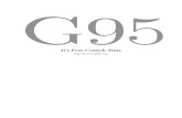  · 2020. 4. 23. · Key G95 Features • Free Fortran 95 compliant compiler. • Current (October 2006) g95 version is 0.91. • GNU Open Source, GPL license. • Operation of compiled