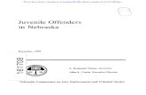 Juvenile Offenders in Nebraska · Nebraska Commission on Law Enforcement and Criminal Justice December, 1995 E. Benjamin Nelson, Governor Allen L. Curtis, Executive Director Nebraska