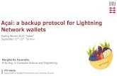 Açai: a backup protocol for Lightning Network wallets · Presentation Outline 1. Problem Description 2. Related Work 3. Preliminary concepts 4. Methodology 5. Açai Protocol: Design