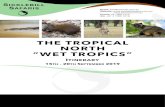 THE TROPICAL NORTH “WET TROPICS”birder.travel/wp-content/uploads/2019/03/Wet... · The Wet Tropics area around Cairns in Far North Queensland has the largest avifauna of anywhere