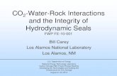 CO2-Water-Rock Interactions and the Integrity of ... · -exposed well (Carey et al. 2007) •Natural CO 2 Producer: 30-year old well, continuous exposure (Crow et al. 2010) •Buracica,