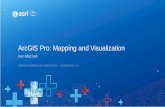 ArcGIS Pro: Mapping and Visualization · 2020. 5. 4. · Keywords: ArcGIS Pro: Mapping and Visualization, 2020 Federal GIS Conference Presentation, Created Date: 3/13/2020 11:31:38