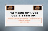 OPT UPDATE AND CAP GAP · 2020. 9. 16. · O Pre-Completion and post- completion OPT O OPT is available after the completion of each level –BS, MS, PhD O Eligibility –Must have