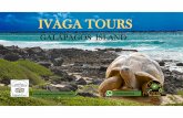 IVAGA TOURS · CRUZ ISLAND / ISABELA ISLAND You take a flight from Quito to the Airportof Baltra Island. Our guides will take you over to Isabela Island. Flamingo Lagoon: which is