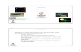 Animation - web.engr. mjb/cs550/PDFs/Animation.2pp.pdfآ  2 mjb â€“August 10, 2020 3 Computer Graphics
