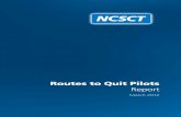 NCSCT RtQ v5 - National Centre for Smoking Cessation and ... to Quit Final Report.pdf · smoking cessation and stop smoking services still have an important part to play in a comprehensive