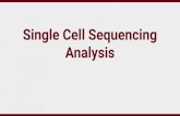 Single Cell Sequencing Analysis - Read the Docs · 2020. 4. 27. · RNA - .25M-1M paired reads / cell for transcriptome coverage DNA - 30-100x per cell e.g. 1000 cell scRNA-Seq =