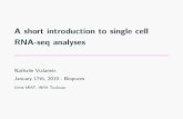 A short introduction to single cell RNA-seq analyses · A short introduction to single cell RNA-seq analyses Nathalie Vialaneix January 17th, 2019 - Biopuces Unité MIAT, INRA Toulouse