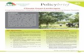 Climate Smart Landscapes · Ngitili in Shinyanga Landscapes: Actors, roles and responsibilities The success of the Ngitili system is the result of a multi-stakeholder engagement process