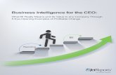 Business Intelligence for the CEO - insightsoftware · Business Intelligence and Reporting Built for Microsoft Dynamics Jet Enterprise is a complete BI and reporting solution that