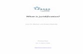 What is juridification? · 2 Introduction1 Juridification is an ambiguous concept with regard to both its descriptive and normative content. In descriptive terms some see juridification2