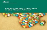 Understanding Consumers in the “Many Africas”...2 Understanding Consumers in the “Many Africas” AT A GLANCE Though much has been said and written about African consumers, the
