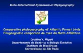 Filogeografia comparada de aves da Mata Atlântica · Filogeografia comparada de aves da Mata Atlântica Cristina Y. Miyaki Departamento de Genética e Biologia Evolutiva Instituto