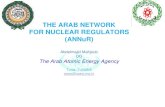 THE ARAB NETWORK FOR NUCLEAR REGULATORS (ANNuR) Documents/03rd GNSSN Steering... · National infrastructure and capacity building at an institutional, ... Arab Network of Nuclear