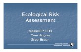 EcoloEcologgicalical Risk Assessment - Mass.GovAfter the After the Risk Assessment Risk Assessment Substantial Hazard If risk is significant but a permanent solution is not feasible,