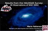 Results from the HALOGAS SurveyResults from the HALOGAS Survey: HI Observations of NGC 5055 Maria Patterson Tully-Fisher at 35, Global Properties of HI in Galaxies, Green Bank, WV