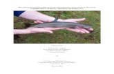 Movements of Coastal Cutthroat Trout (Oncorhynchus clarki ...€¦ · Salmon Defense Association, Salmon Forever, California Sportfishing Alliance, Oregon Wildlife Federation, Clark-Skamania