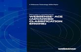 SECURITY OVERVIEW WEBSENSE® ACE (AdvANCEd …...SECURITY OVERVIEW WEBSENSE® ACE (AdvANCEd ClASSifiCATioN ENgiNE) A WEbSEnSE TEChnOlOgY WhITE PAPER CoNTENTS Executive Summary 2 Websense