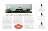 ART OF FERMENTATION - ANAT€¦ · 46 THE AFR MAGAZINE FEBRUARY ART OF FERMENTATION Using pen and paint to visualise the strangely beautiful science of winemaking. W HEN WINEMAKER