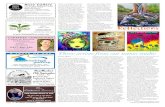 UN’s International Year of Light - 2015 · Page 18 The Nimbin GoodTimes September 2015 nimbin.goodtimes@gmail.com Often our immediate response to the word ‘Reflections’ is the