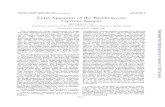 OF Society Printedin U.S.A. Golgi Apparatus ofGolgi Apparatus of the Basidiomycete Coprinus lagopus BENJAMIN C. LU1 DepartmentsofBotanyandGenetics, University ofAlberta, Edmonton,