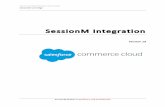 SessionM Integration Guide Controllers 19...SessionM ©2017 Proprietary and Confidential Page 5 2. COMPONENT OVERVIEW 2.1 FUNCTIONAL OVERVIEW 2.1.1 SessionM Profile Actions This section