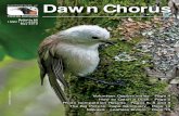 DDawn Chorusawn Chorus - Tiritiri Matangi Island chorus/Dawn Chorus 89.pdfDDawn Chorusawn Chorus Bulletin 89 ISSN 1171-8595 May 2012 Whitehead - Martin Sanders VVolunteer Opportunities