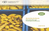 Banana Statistical Compendium 2019 · The Banana Statistical Compendium is issued on an annual basis to Members and Observers of the Sub-Group on Bananas of the Intergovernmental