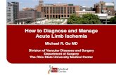 How to Diagnose and Manage Acute Limb Ischemia Go, MD.pdfAcute Limb Ischemia • Sudden and complete blockage of an axial artery in the affected extremity • The distal tissue beds