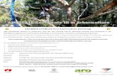 AH30816 ertificate III in Arboriculture (limbing) · 2019. 9. 11. · AH30816 ertificate III in Arboriculture (limbing) ARO Educational Services in conjunction with Mr Tom Fleming