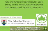 GIS and Green Infrastructure: Case Study in the Alley Creek Watershed and Sewershed, Queens, New York - Yale … · •Part 1 Discussion •1ft. Digital elevation model (DEM) vs.