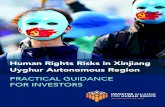PRACTICAL GUIDANCE FOR INVESTORS · 2020. 8. 3. · 5 human rights risks in xinjiang uyghur autonomous region | practical guidance for investors BACKGROUND Companies with business