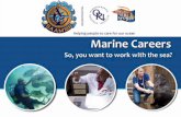 Marine Careers booklet no edit small - SAAMBR€¦ · Certificate (NSC) Environmental Health the use Of the sea for sewage and industrial effluent is increasing. It is essential to