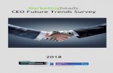 Marketingheads CEO Future Trends Survey · Marketingheads CEO Future Trends Survey 2018 3 Importance of social media as an influencer for business in 2018 decreased again, whilst
