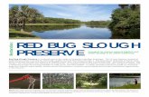RED BUG SLOUGH PRESERVE - University of South Florida...Its wooded lands and peaceful waterways offer refuge for wildlife and a refreshing escape for Sarasota families to walk, picnic