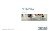 NORWAY - minoli.co.uk · norway gra rr02 portnoy matt/nat vc02766 30 x 30 cm (10mm) norway gra - rr02. technical characteristics: rectified porcelain stoneware slip resistance: r10.
