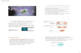 Overview: The Cellular Internet Chapter 11€¦ · Cell Communication Overview: The Cellular Internet •Cell-to-cell communication is essential for multicellular organisms •Biologists